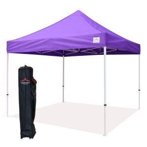 purple 10x10 pop up canopy