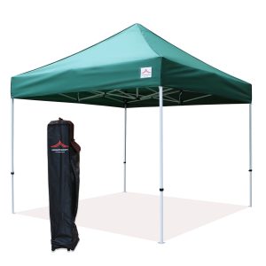 green 10x10 canopy